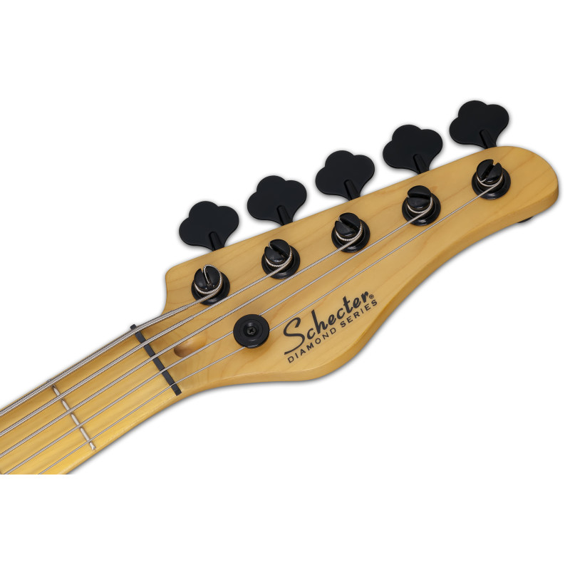 Schecter MODEL-T SESSION-5 ANS Bass guitar
